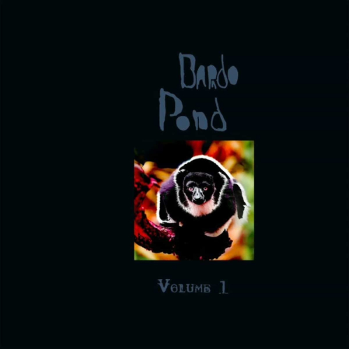Bardo Pond - Volume One (RSD 21)