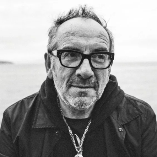 Elvis Costello Vinyl Records For Sale Roan Records