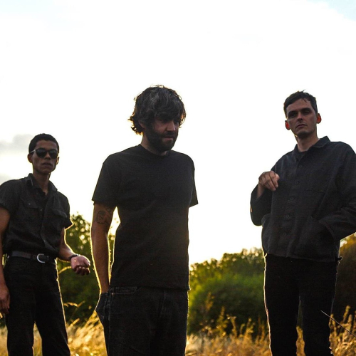 Modern Nature Vinyl Records For Sale Roan Records