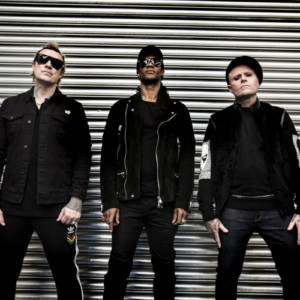 Prodigy, The - Firestarter - x30 Vinyl Edition