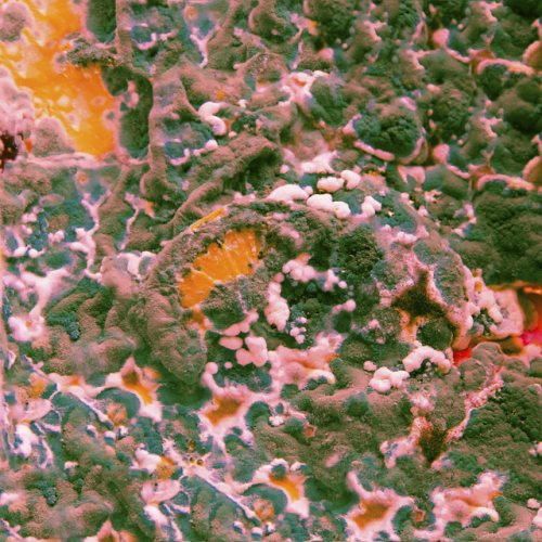 Marika Hackman - Sugar Blind/Deaf Heat