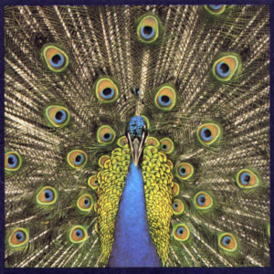 Bluetones, The - Expecting To Fly (25th Anniversary Ed.)