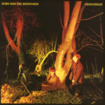 Echo & The Bunnymen - Crocodiles