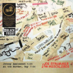 Joe Strummer - Johnny Appleseed