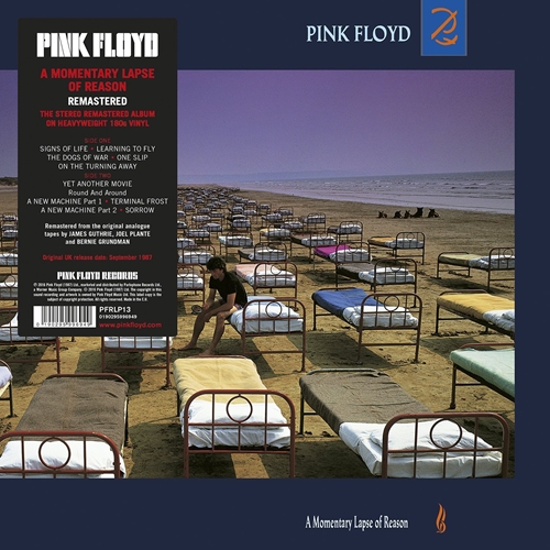 Pink Floyd - A Momentary Lapse Of Reason