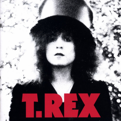 T Rex - The Slider