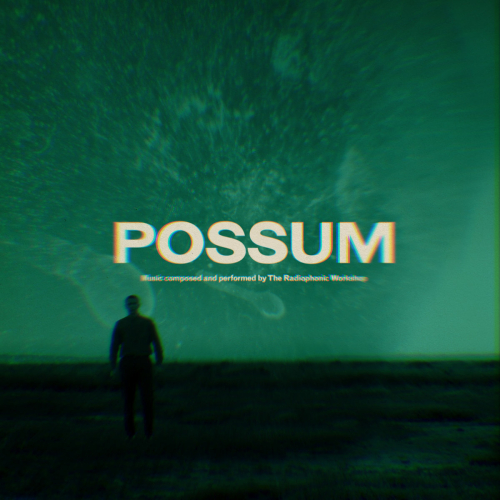 The Radiophonic Workshop - Possum OST