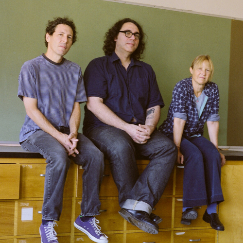 Yo La Tengo Vinyl Records For Sale Roan Records