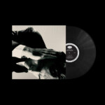 Andrew Bird - Inside Problems