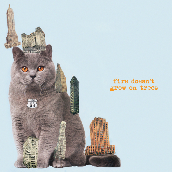 Brian Jonestown Massacre, The - Fire Doesn't Grow On Trees