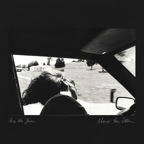 Sharon Van Etten - Are We There (LRS 2021)
