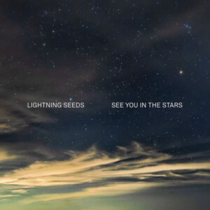 Lightning Seeds, The - See You In The Stars