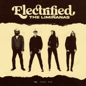 Liminanas, The - Electrified (Best Of 2009-2022)