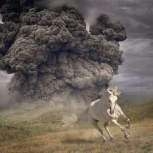 White Buffalo, The - Year of the Dark Horse