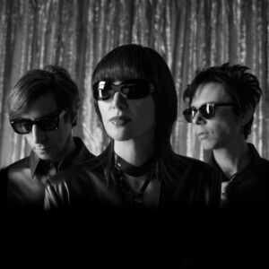 Yeah Yeah Yeahs - Cool It Down (NAD25)