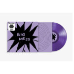 Public Body - Big Mess