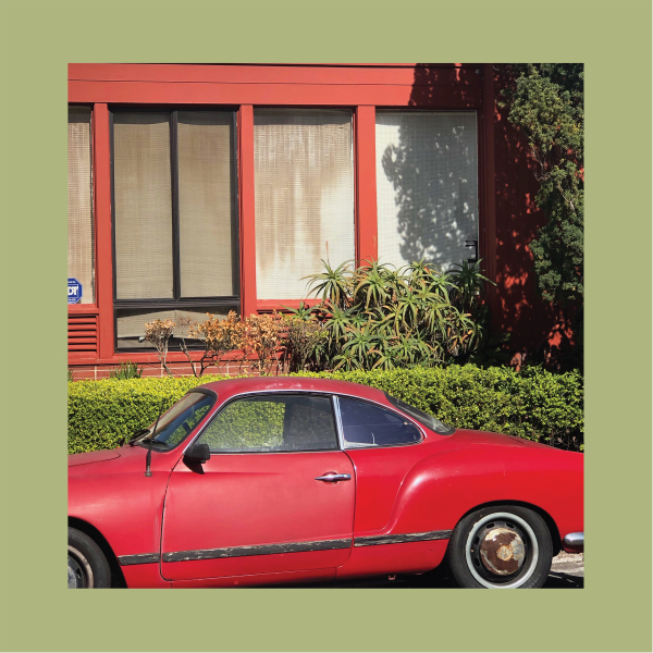 Reds, Pinks & Purples, The - The Town That Cursed Your Name