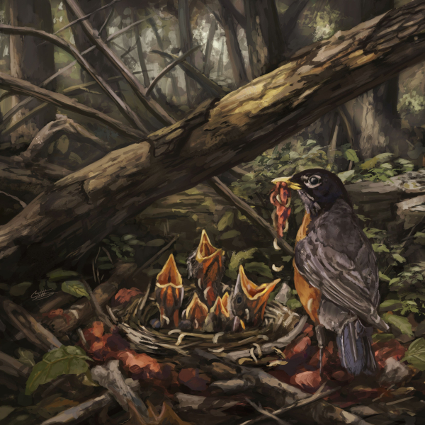 Acacia Strain, The - Step Into The Light