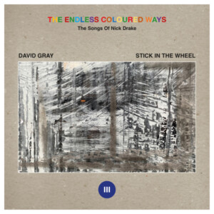 David Gray - The Endless Coloured Ways: The Songs of Nick Drake - David Gray / Stick In The Wheel