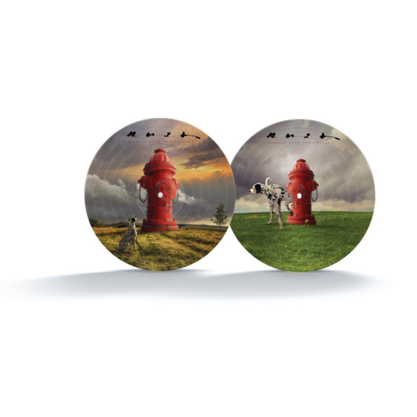 Rush - Signals (40th Anniversary)