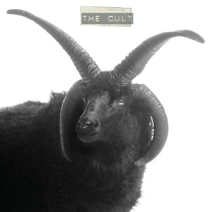 Cult, The - The Cult