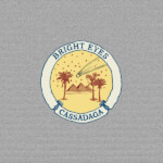 Bright Eyes - Cassadaga