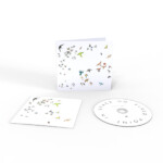 Modern Nature - No Fixed Point In Space