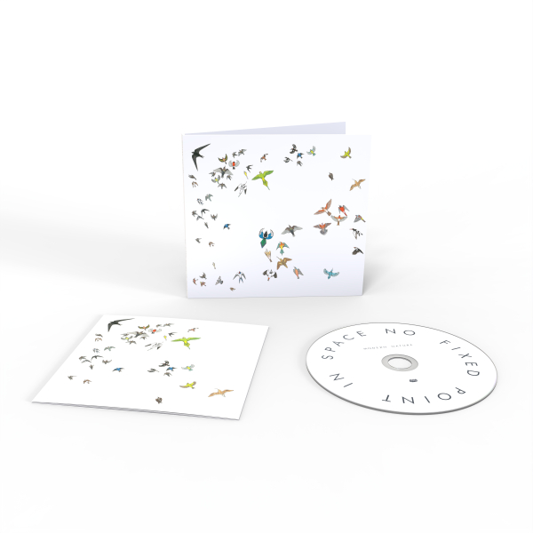 Modern Nature - No Fixed Point In Space