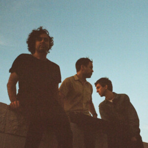 Flat Worms - Witness Marks