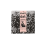 Liam Gallagher - Knebworth 22