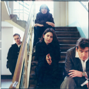 Delgados, The - Hate