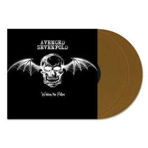Avenged Sevenfold - Waking The Fallen (20th Anniversary)
