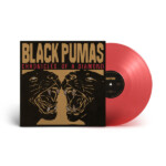 Black Pumas - Chronicles Of A Diamond
