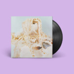 Pale Saints - In Ribbons (Expanded 30th Anniversary Reissue)