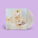 Pale Saints - In Ribbons (Expanded 30th Anniversary Reissue)