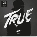 Avicii - True (10th Anniversary Edition)