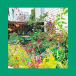 Reds, Pinks & Purples, The - Unwishing Well