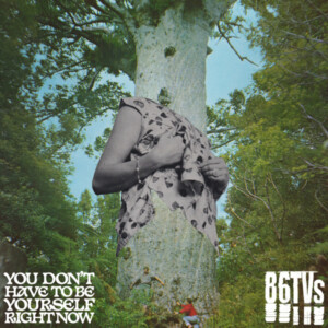 86TVs - You Don't Have To Be Yourself (RSD 24)