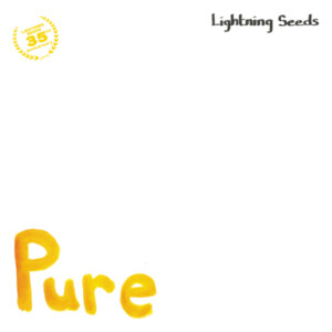 Lightning Seeds, The - All I Want / Pure (RSD 24)