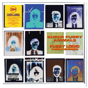 Super Furry Animals - Fuzzy Logic (B-Sides & Besides) (RSD 24)