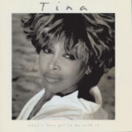 Tina Turner - What's Love Got To Do With It (30th Anniversary Edition)