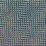 Animal Collective - Merriweather Post Pavilion