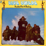 Blue Swede / Björn Skifs - Hooked On A Feeling