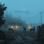 Dermot Kennedy - I’ve told the trees everything