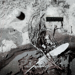 David Sylvian - Secrets Of The Beehive