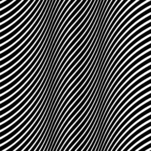 Vacant Lots, The - Exit