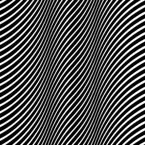 Vacant Lots, The - Exit