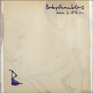 Babyshambles - Down in Albion (20th Anniversary Edition)