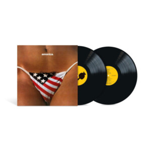 Black Crowes, The - Amorica