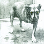 Alice In Chains - Alice In Chains (30th Anniversary)